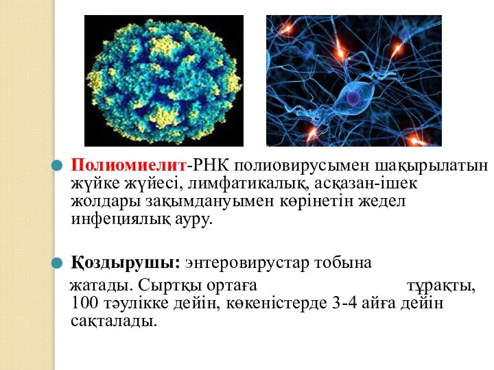 Полиомиелит-РНК полиовирусымен шақырылатын жүйке жүйесі, лимфатикалық, асқазан-ішек жолдары зақымдануымен көрінетін жедел инфециялық