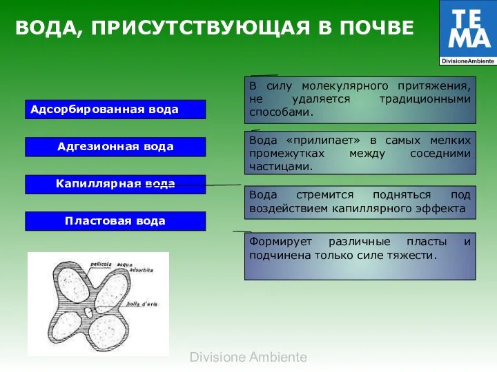 ВОДА, ПРИСУТСТВУЮЩАЯ В ПОЧВЕ Адсорбированная вода Адгезионная вода Капиллярная вода Пластовая вода