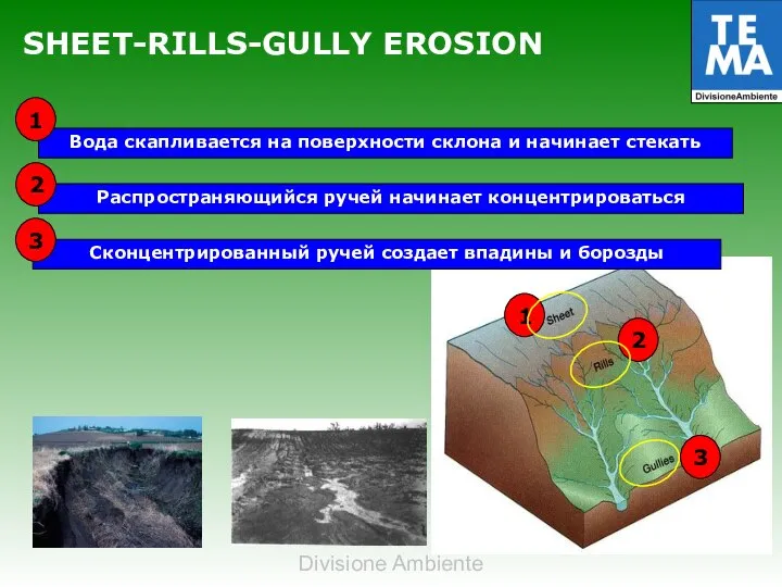 SHEET-RILLS-GULLY EROSION Распространяющийся ручей начинает концентрироваться Сконцентрированный ручей создает впадины и борозды