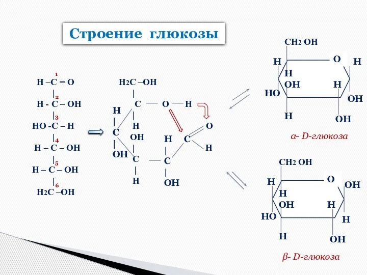 Строение глюкозы α- D-глюкоза β- D-глюкоза