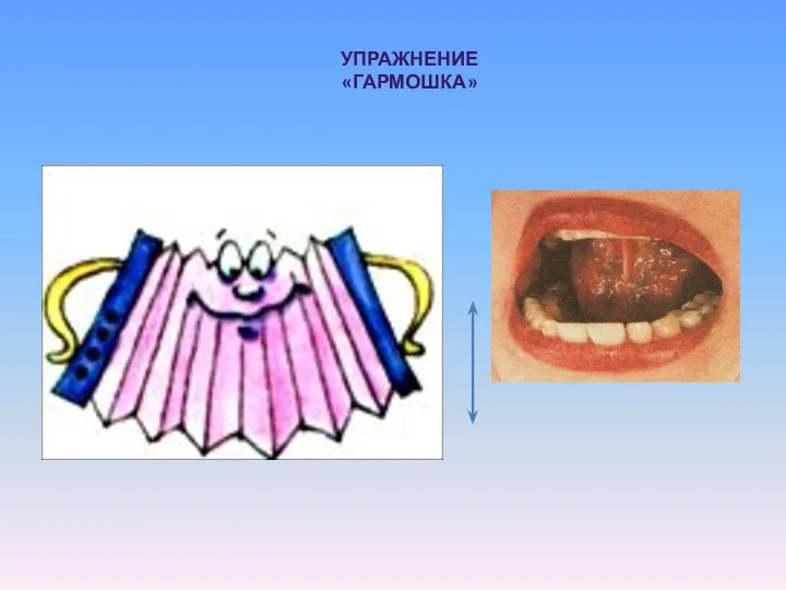 УПРАЖНЕНИЕ «ГАРМОШКА»