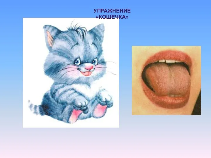 УПРАЖНЕНИЕ «КОШЕЧКА»