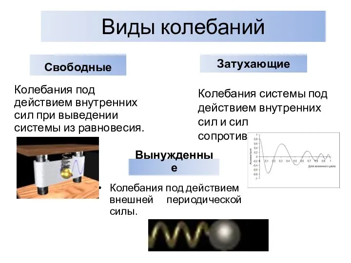 Виды колебаний Свободные Колебания под действием внутренних сил при выведении системы из