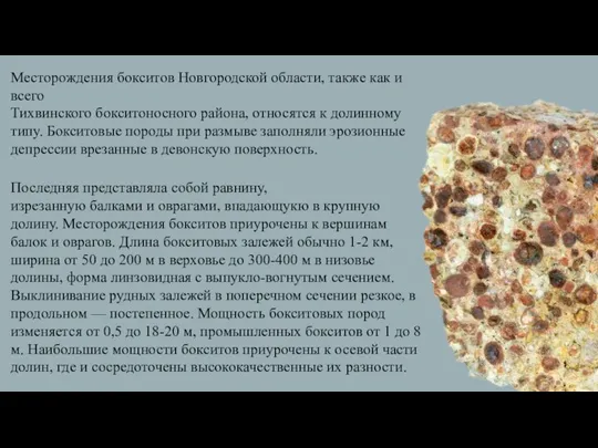 Месторождения бокситов Новгородской области, также как и всего Тихвинского бокситоносного района, относятся