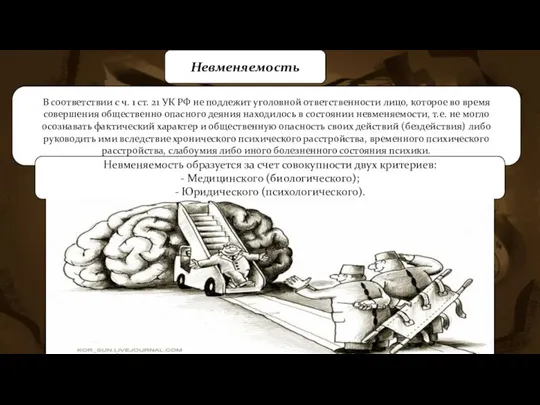 Невменяемость В соответствии с ч. 1 ст. 21 УК РФ не подлежит