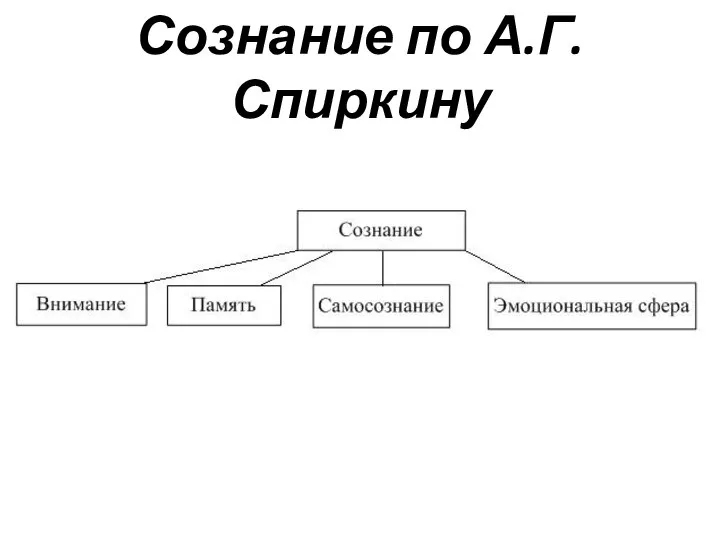 Сознание по А.Г. Спиркину