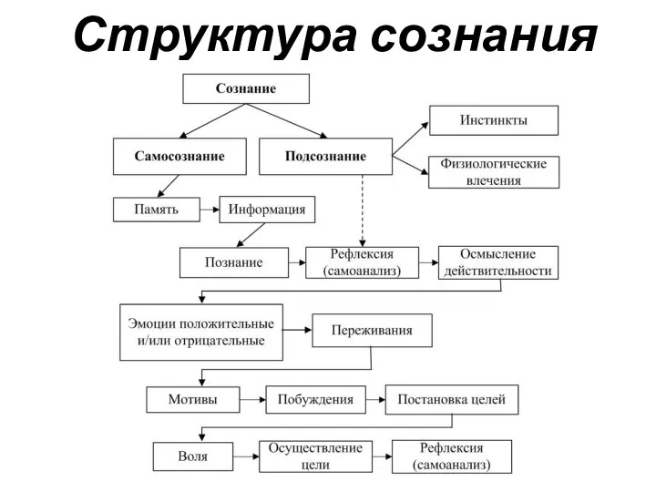 Структура сознания