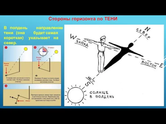 Стороны горизонта по ТЕНИ В полдень тени (она направление будет самая короткая) указывает на север.