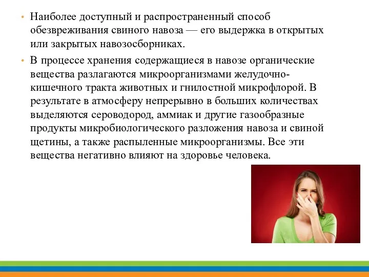 Наиболее доступный и распространенный способ обезвреживания свиного навоза — его выдержка в