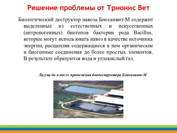 Биологический деструктор навоза Биосанвит-М содержит выделенные из естественных и искусственных (антропогенных) биотопов