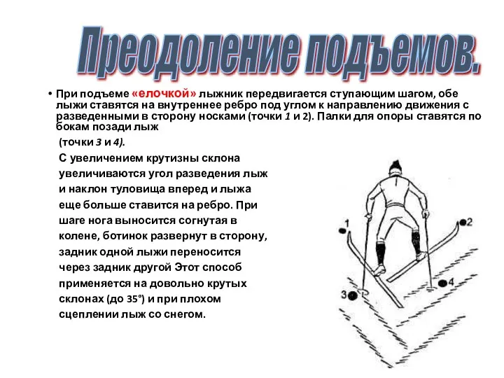 При подъеме «елочкой» лыжник передвигается ступающим шагом, обе лыжи ставятся на внутреннее