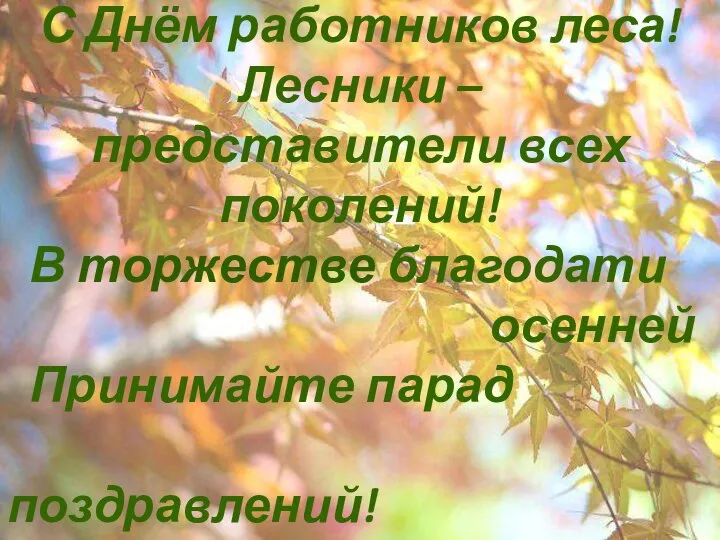 С Днём работников леса! Лесники – представители всех поколений! В торжестве благодати осенней Принимайте парад поздравлений!