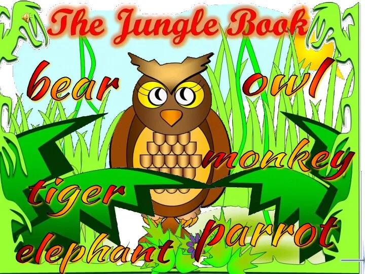 bear tiger owl parrot elephant monkey