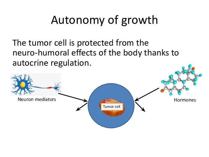 Autonomy of growth The tumor cell is protected from the neuro-humoral effects