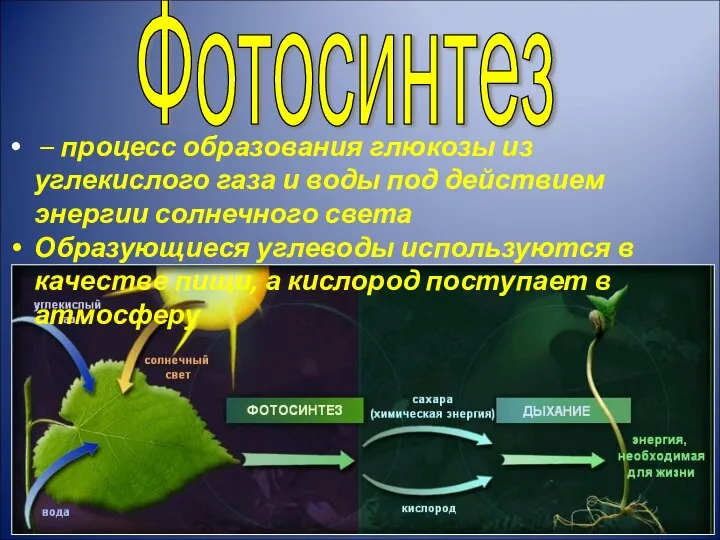 – процесс образования глюкозы из углекислого газа и воды под действием энергии