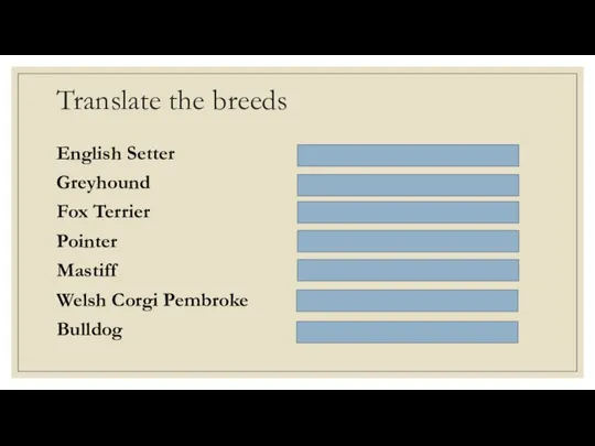 Translate the breeds English Setter Английский Сеттер Greyhound Борзая Fox Terrier Кокер-Спаниель