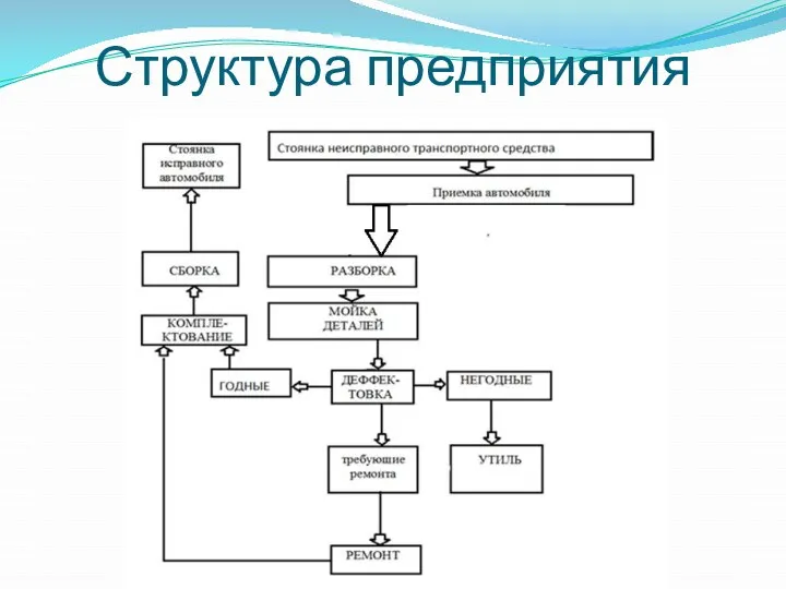 Структура предприятия