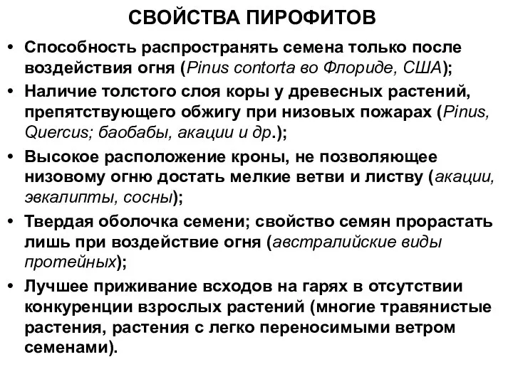 СВОЙСТВА ПИРОФИТОВ Способность распространять семена только после воздействия огня (Pinus contorta во