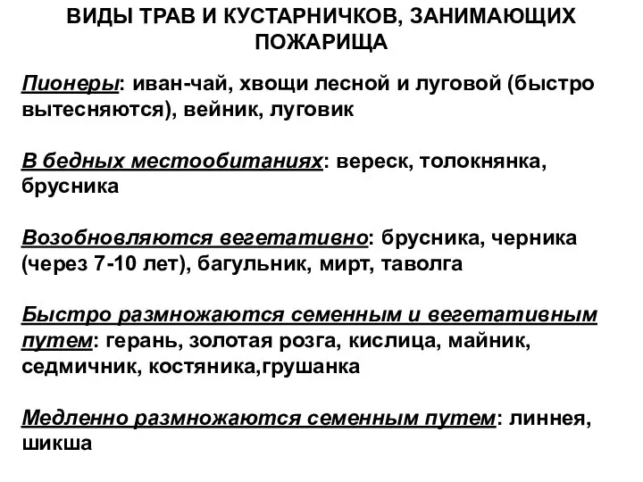 ВИДЫ ТРАВ И КУСТАРНИЧКОВ, ЗАНИМАЮЩИХ ПОЖАРИЩА Пионеры: иван-чай, хвощи лесной и луговой