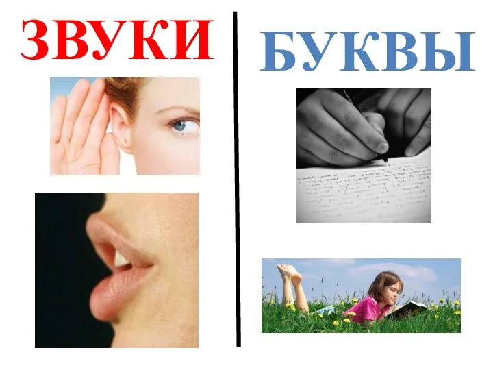 ЗВУКИ БУКВЫ