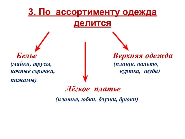 3. По ассортименту одежда делится Белье Верхняя одежда (майки, трусы, (плащи, пальто,