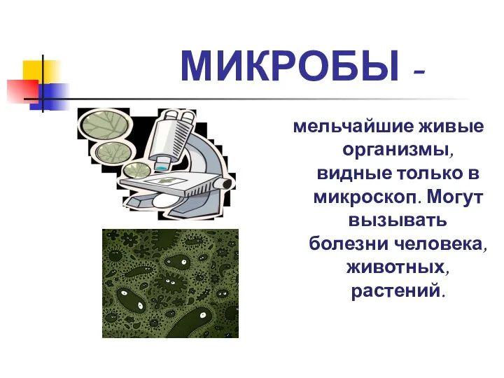 МИКРОБЫ - мельчайшие живые организмы, видные только в микроскоп. Могут вызывать болезни человека, животных, растений.