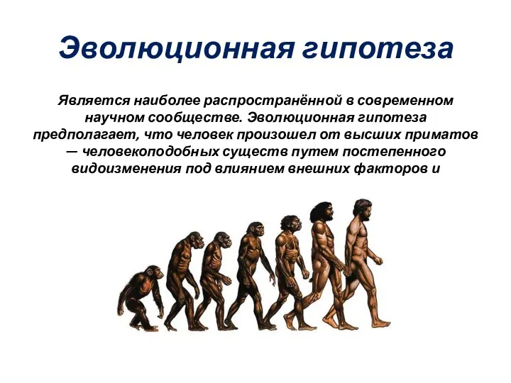 Эволюционная гипотеза Является наиболее распространённой в современном научном сообществе. Эволюционная гипотеза предполагает,