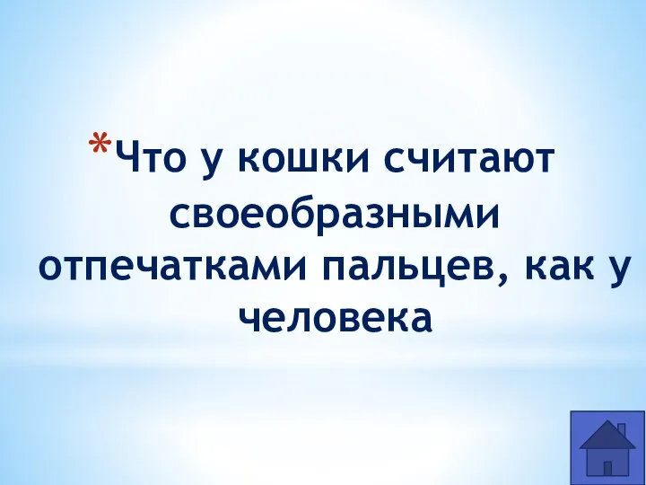 Что у кошки считают своеобразными отпечатками пальцев, как у человека