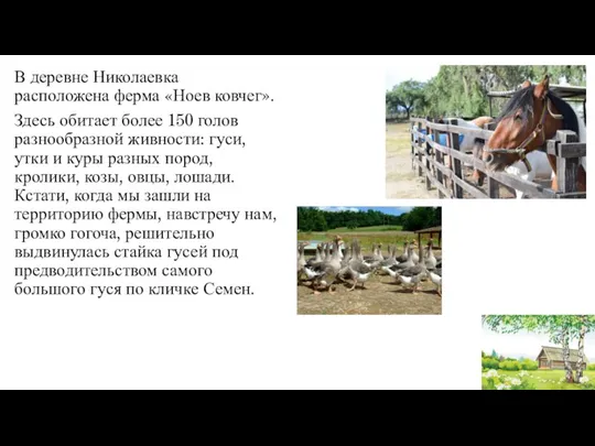 В деревне Николаевка расположена ферма «Ноев ковчег». Здесь обитает более 150 голов