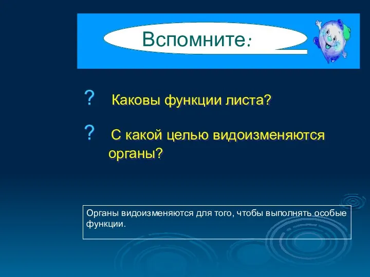 ? Каковы функции листа? ? С какой целью видоизменяются органы? Вспомните: Органы