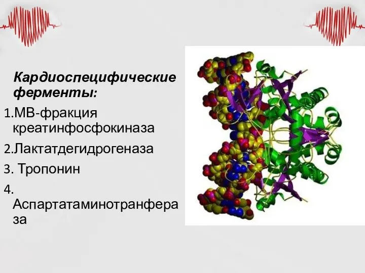 Кардиоспецифические ферменты: 1.МВ-фракция креатинфосфокиназа 2.Лактатдегидрогеназа 3. Тропонин 4. Аспартатаминотранфераза