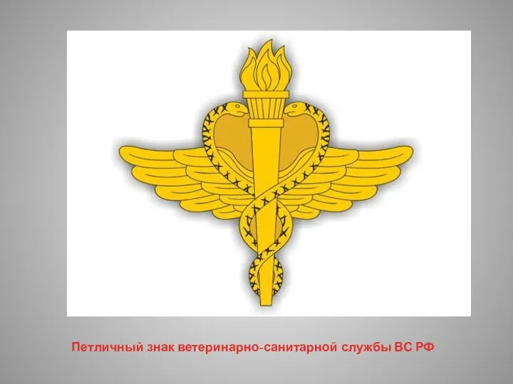 Петличный знак ветеринарно-санитарной службы ВС РФ
