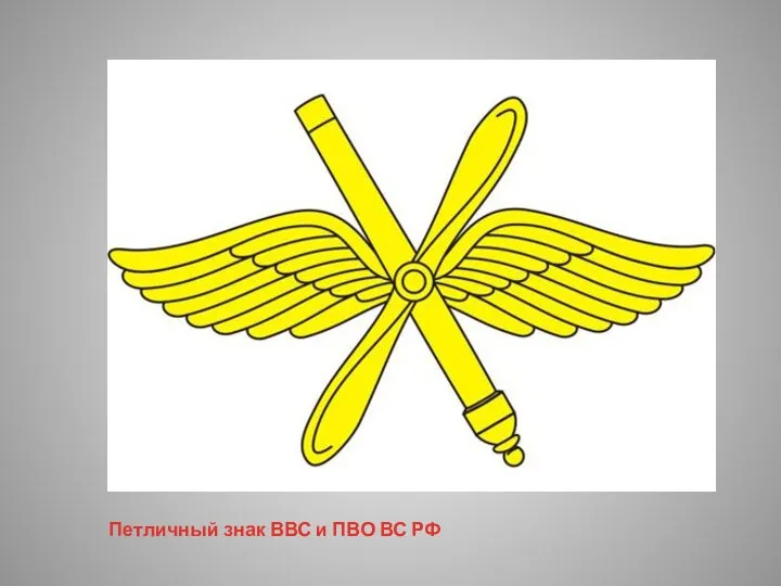 Петличный знак ВВС и ПВО ВС РФ