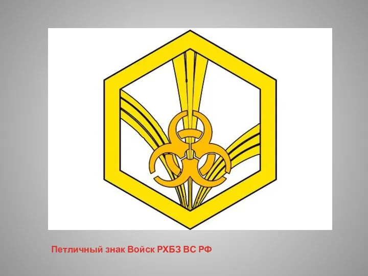 Петличный знак Войск РХБЗ ВС РФ