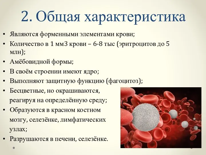 2. Общая характеристика Являются форменными элементами крови; Количество в 1 мм3 крови