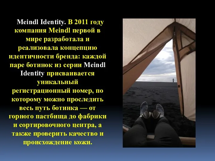 Meindl Identity. В 2011 году компания Meindl первой в мире разработала и