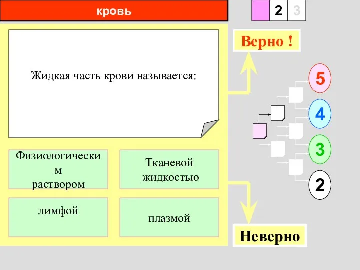 кровь Жидкая часть крови называется: 1 лимфой плазмой 5 2 3 4