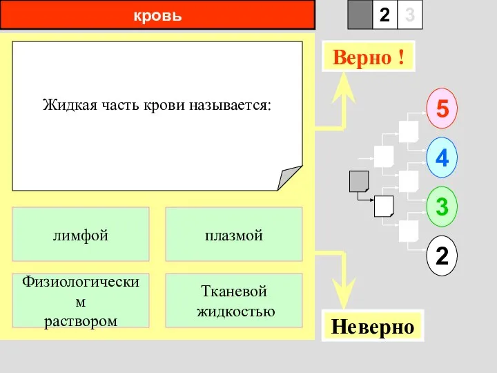 кровь Жидкая часть крови называется: 1 Физиологическим раствором Тканевой жидкостью 5 2