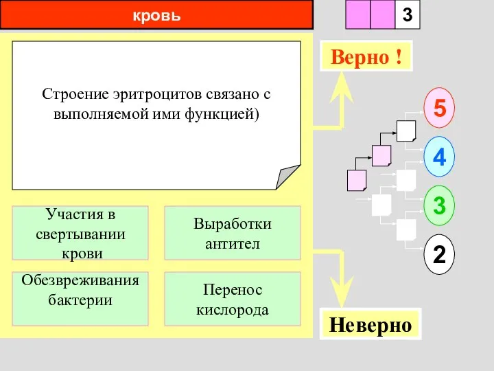 кровь Строение эритроцитов связано с выполняемой ими функцией) 1 Обезвреживания бактерии Перенос