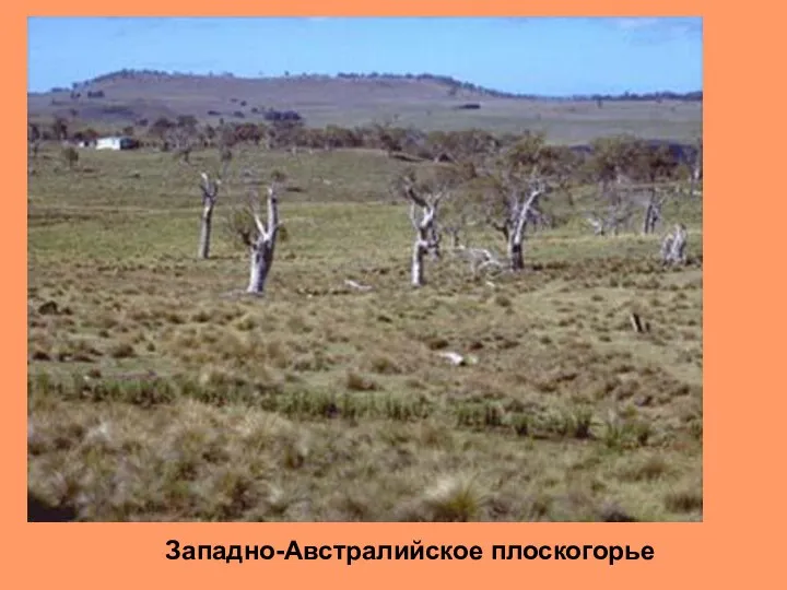 Западно-Австралийское плоскогорье