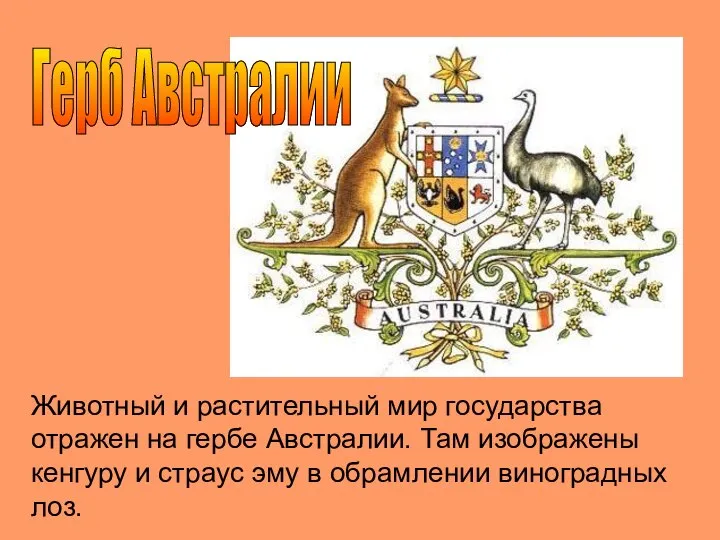 Герб Австралии Животный и растительный мир государства отражен на гербе Австралии. Там