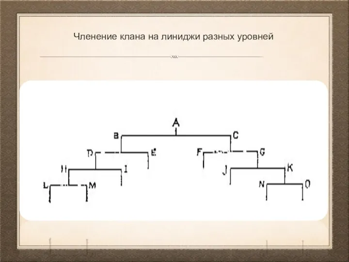 Членение клана на линиджи разных уровней