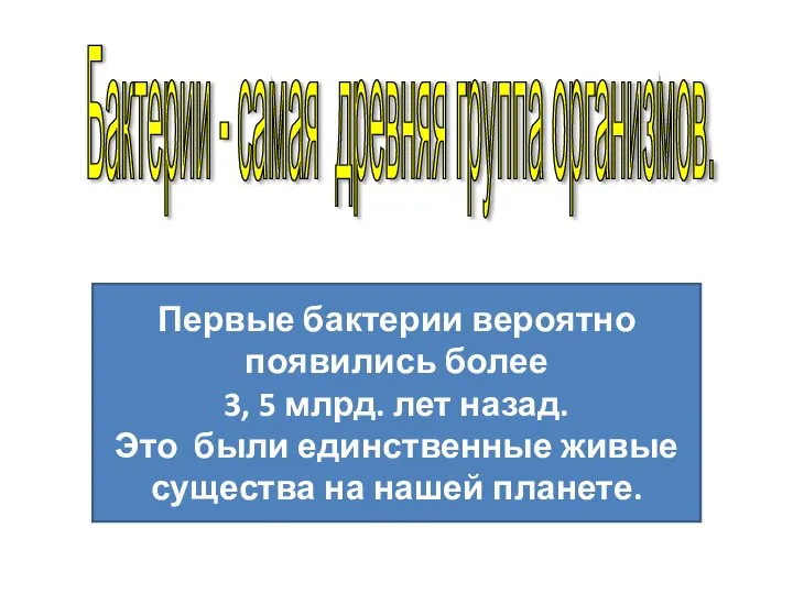 Первые бактерии вероятно появились более 3, 5 млрд. лет назад. Это были