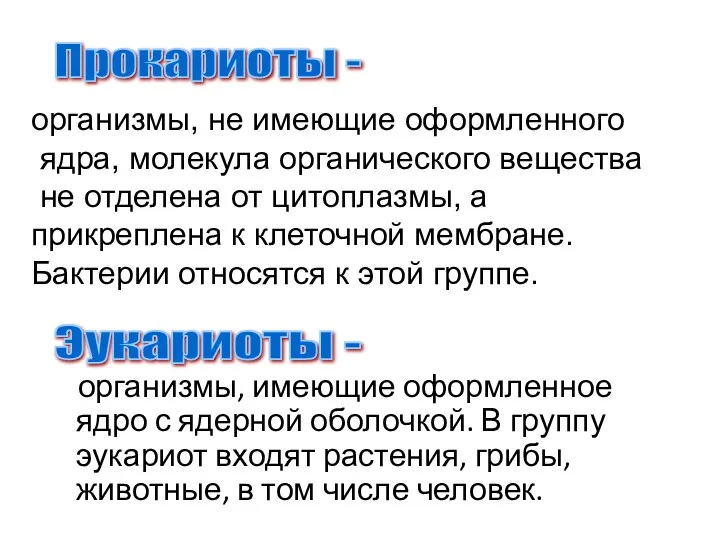 организмы, имеющие оформленное ядро с ядерной оболочкой. В группу эукариот входят растения,