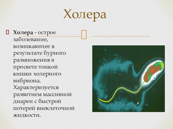 Холера - острое заболевание, возникающее в результате бурного размножения в просвете тонкой