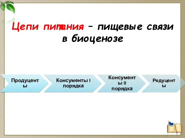 Цепи питания – пищевые связи в биоценозе