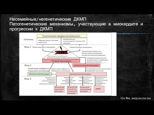 Несемейные/негенетические ДКМП Патогенетические механизмы, участвующие в миокардите и прогрессии к ДКМП Circ Res. 2017;121:711-721