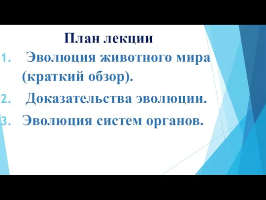 План лекции Эволюция животного мира (краткий обзор). Доказательства эволюции. Эволюция систем органов.