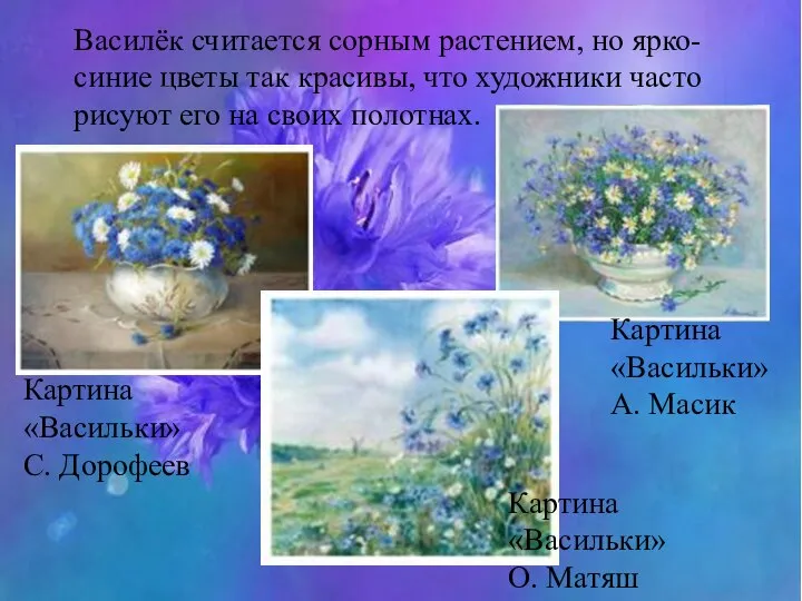Василёк считается сорным растением, но ярко-синие цветы так красивы, что художники часто