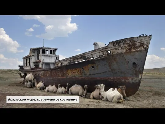 Аральское море, современное состояние